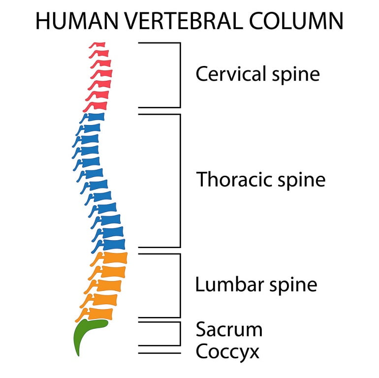 cervical spine damage symptoms