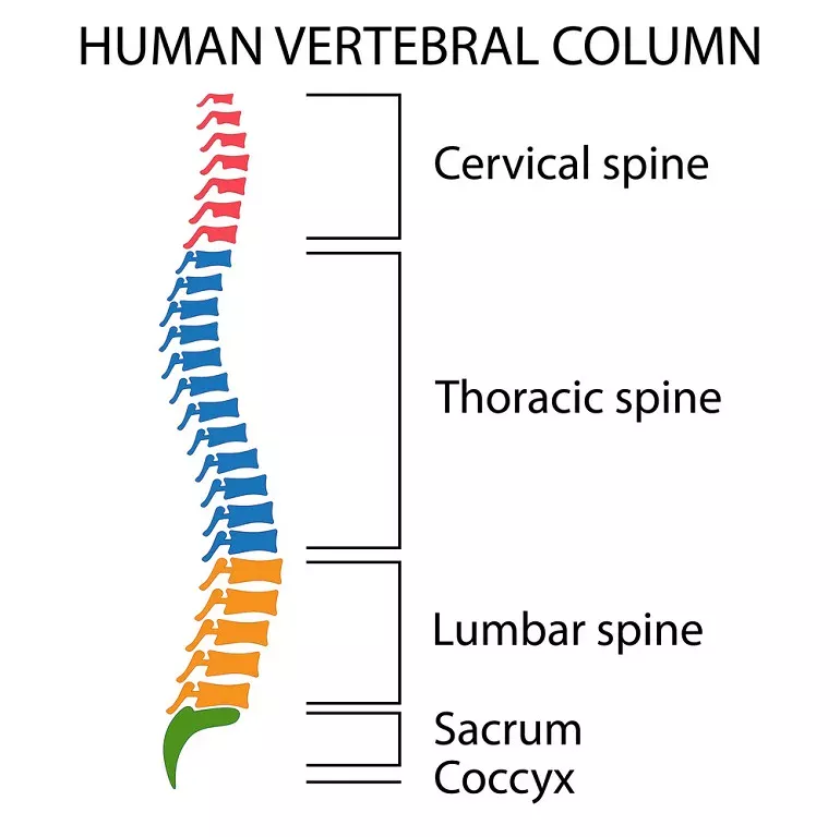 back-injuries-from-car-crash